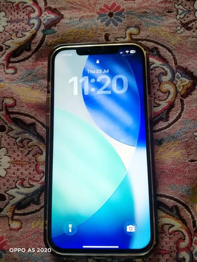 Apple iPhone 12 Pro Max