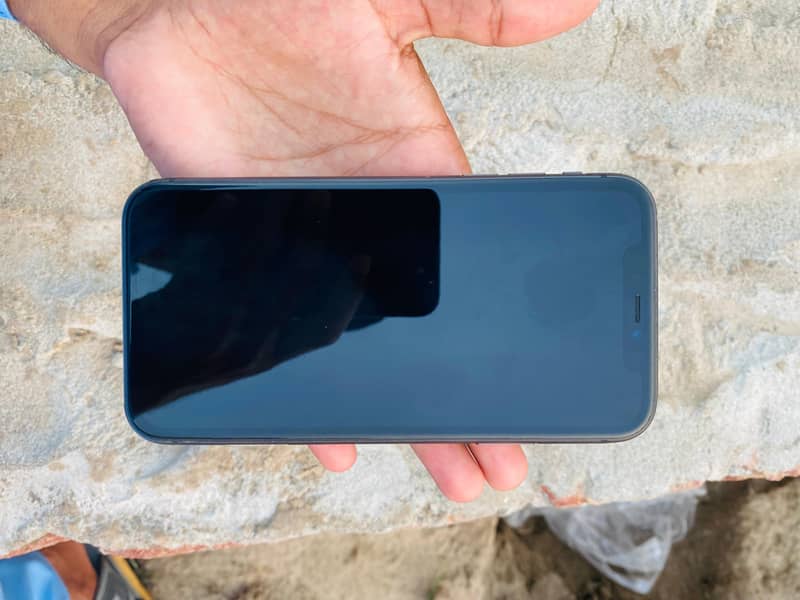 Apple iPhone 11 0