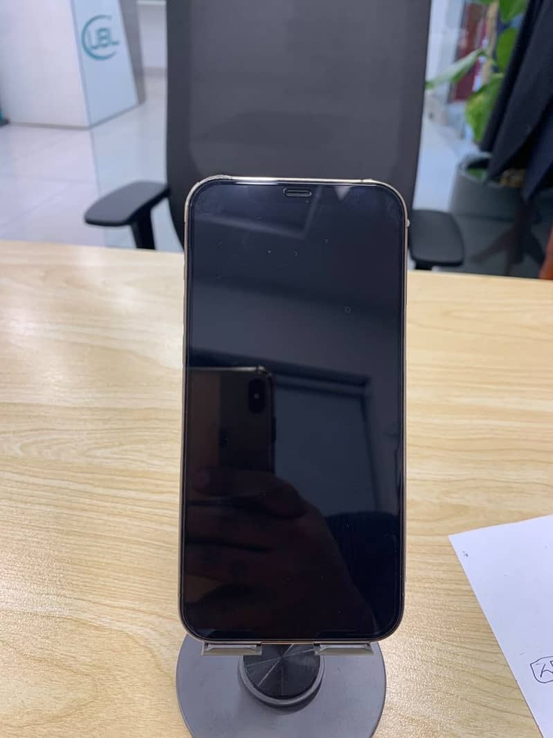 Apple iPhone 12 Pro Max 1