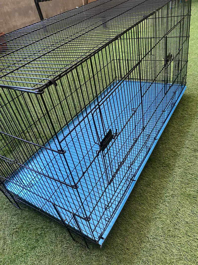 Brand New Cage — photo 2