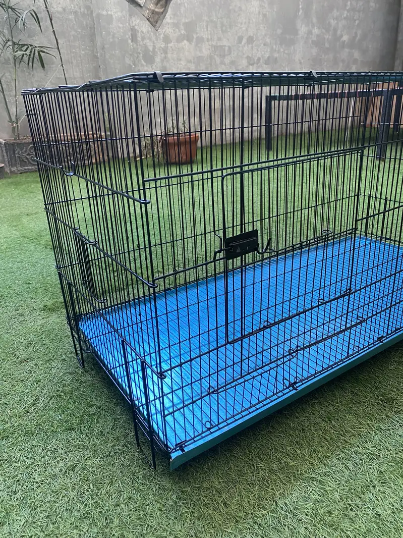 Brand New Cage — photo 4