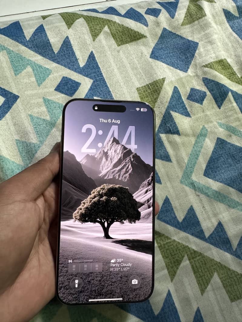 Apple iPhone 16 Pro Max 2