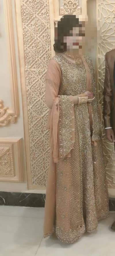 Walima Maxi