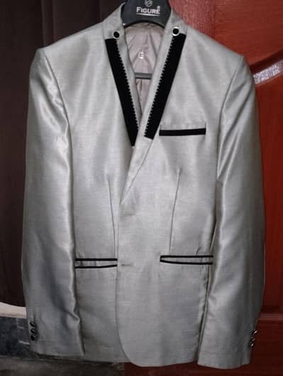 Silver Grey Shining Coat – Excellent Condition