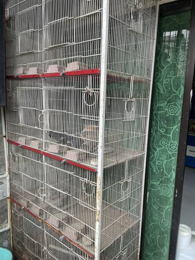 Love bird cage