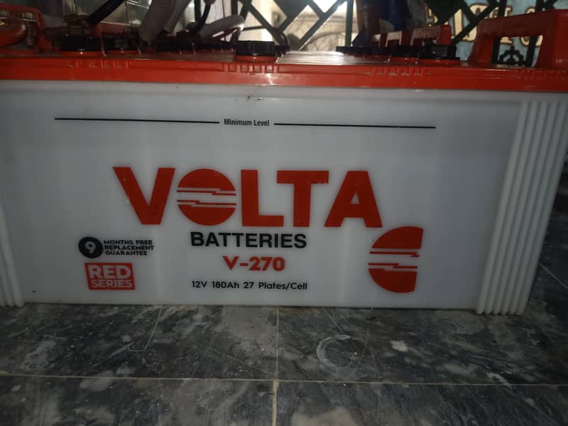Volta berries 1