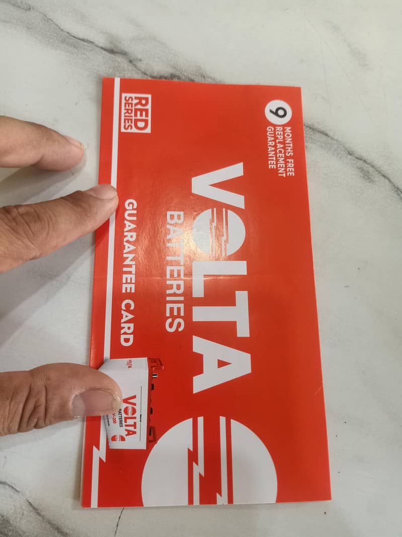 Volta berries 4