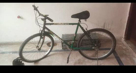 Phoenix cycle for sale | cycle sale | urgent sale