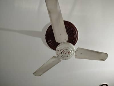 CEILING FAN 100 PERCENT WORKING