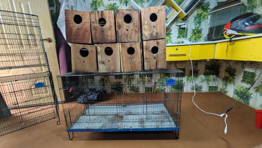 Cage's and Box's