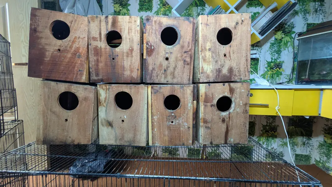 Cage's and Box's — photo 2