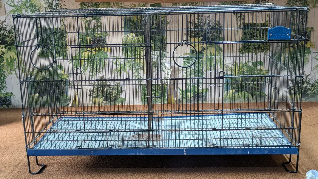 Cage's and Box's — photo 3