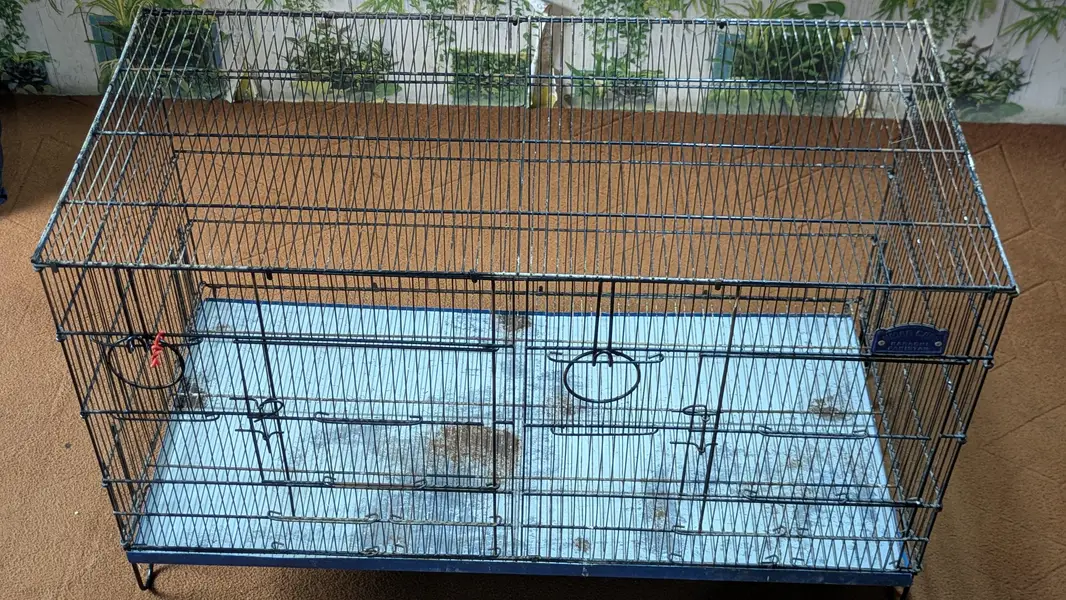 Cage's and Box's — photo 4