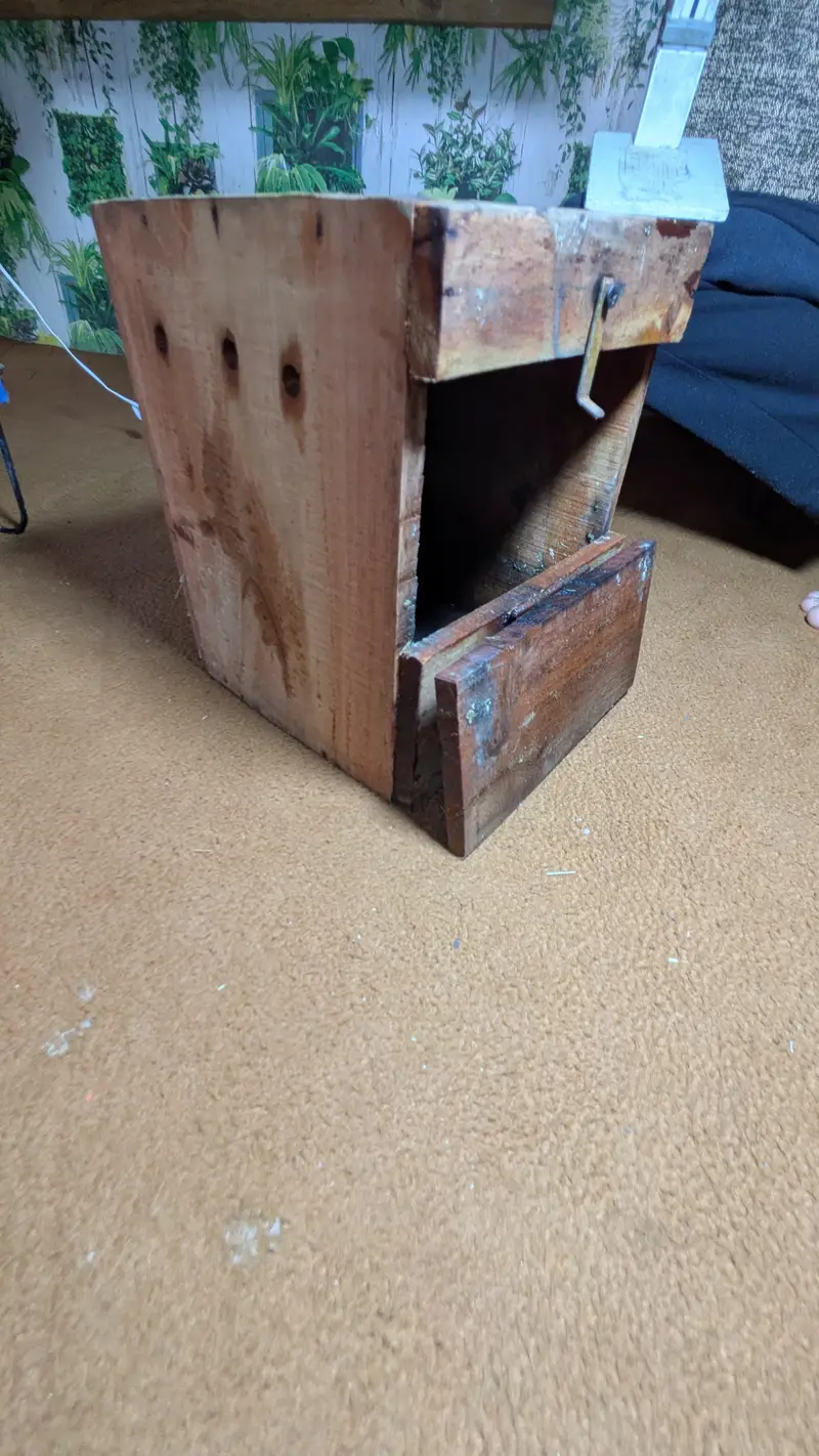 Cage's and Box's — photo 5