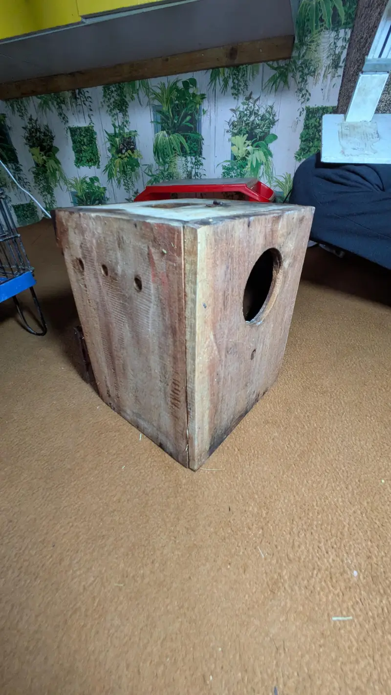 Cage's and Box's — photo 6