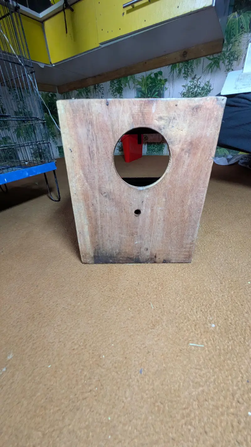 Cage's and Box's — photo 7