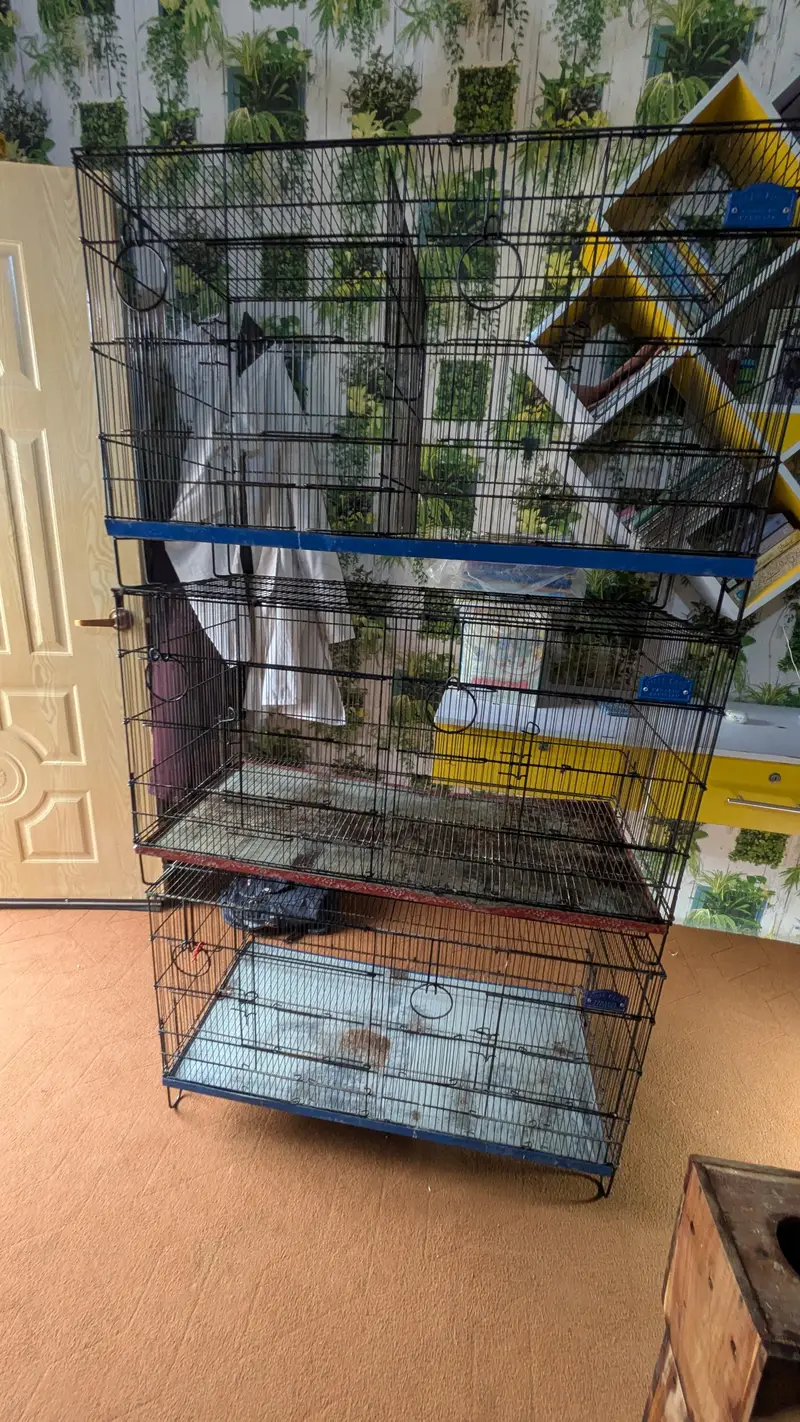 Cage's and Box's — photo 8