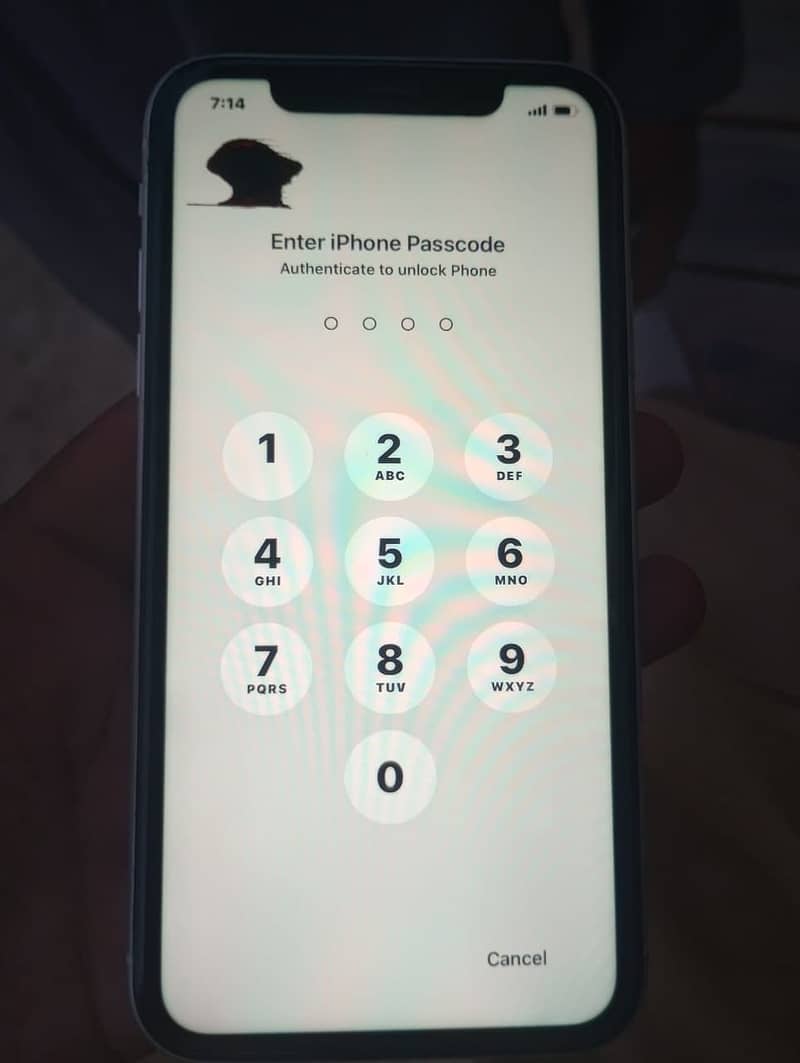 Apple iPhone 11 1