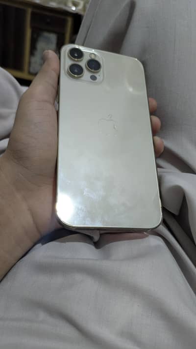 Apple iPhone 12 Pro Max
