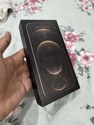 Apple iPhone 12 Pro Max
