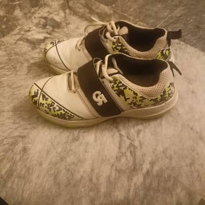 Cricket shoes CA Big bang lime spikes