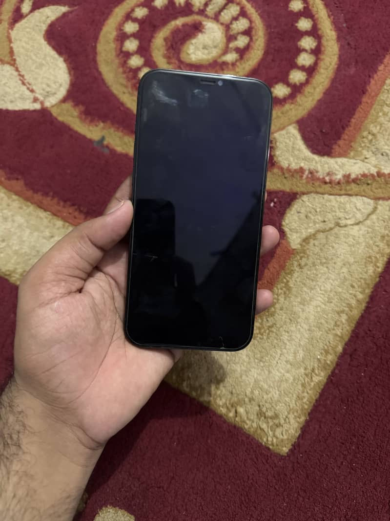 Apple iPhone 12 Pro Max 1
