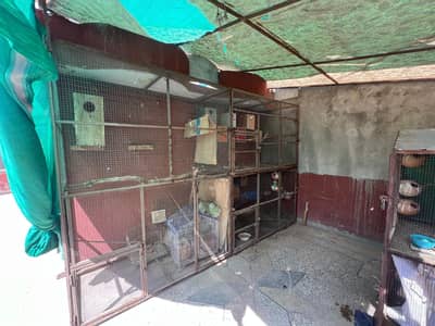 Iron cage for sale