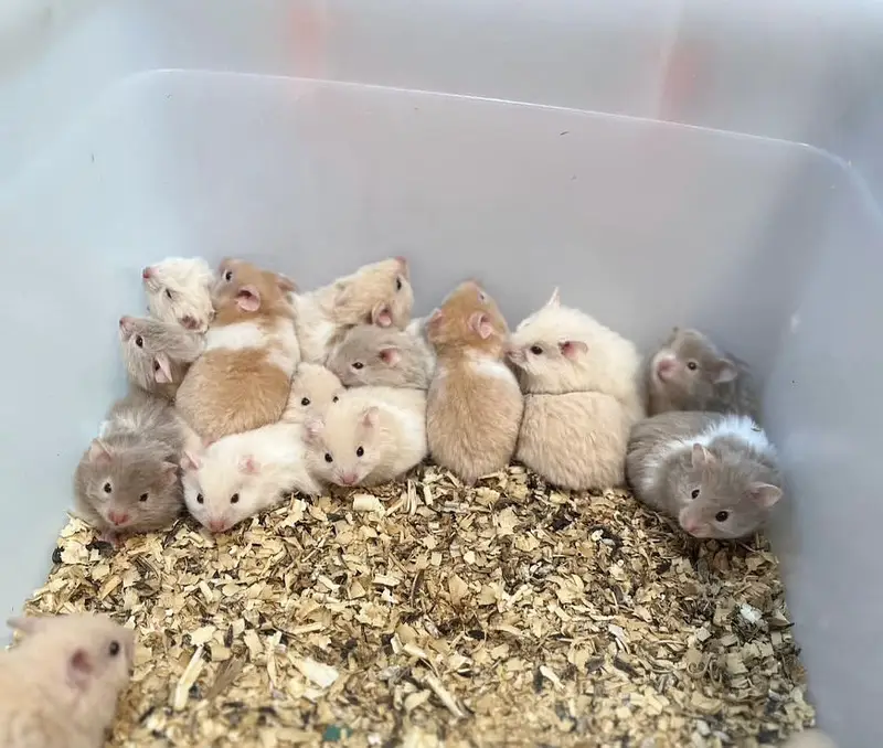 Cute healthy baby