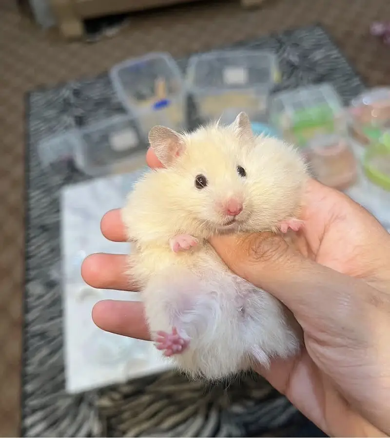 Cute healthy baby — photo 3