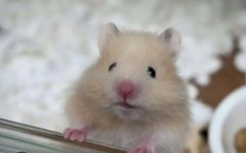 Cute healthy baby — photo 4