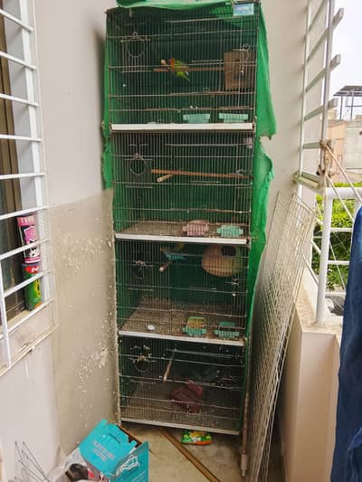 Birds Cage for Sale