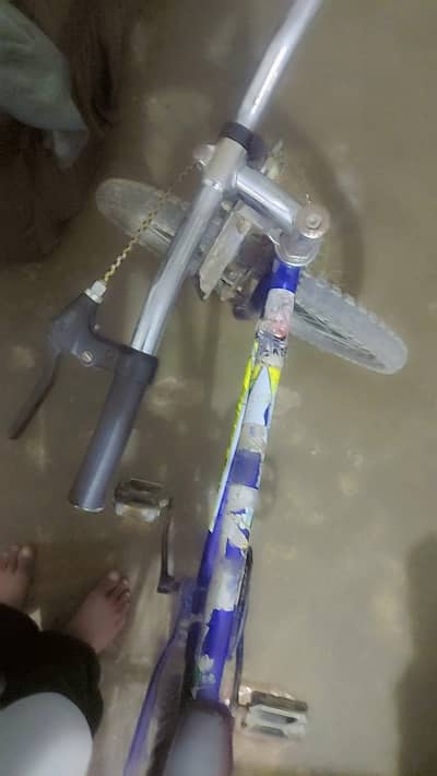bycycal for sale