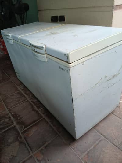 Waves Double Door Deep Freezer