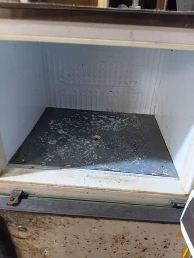 Pel Fridge