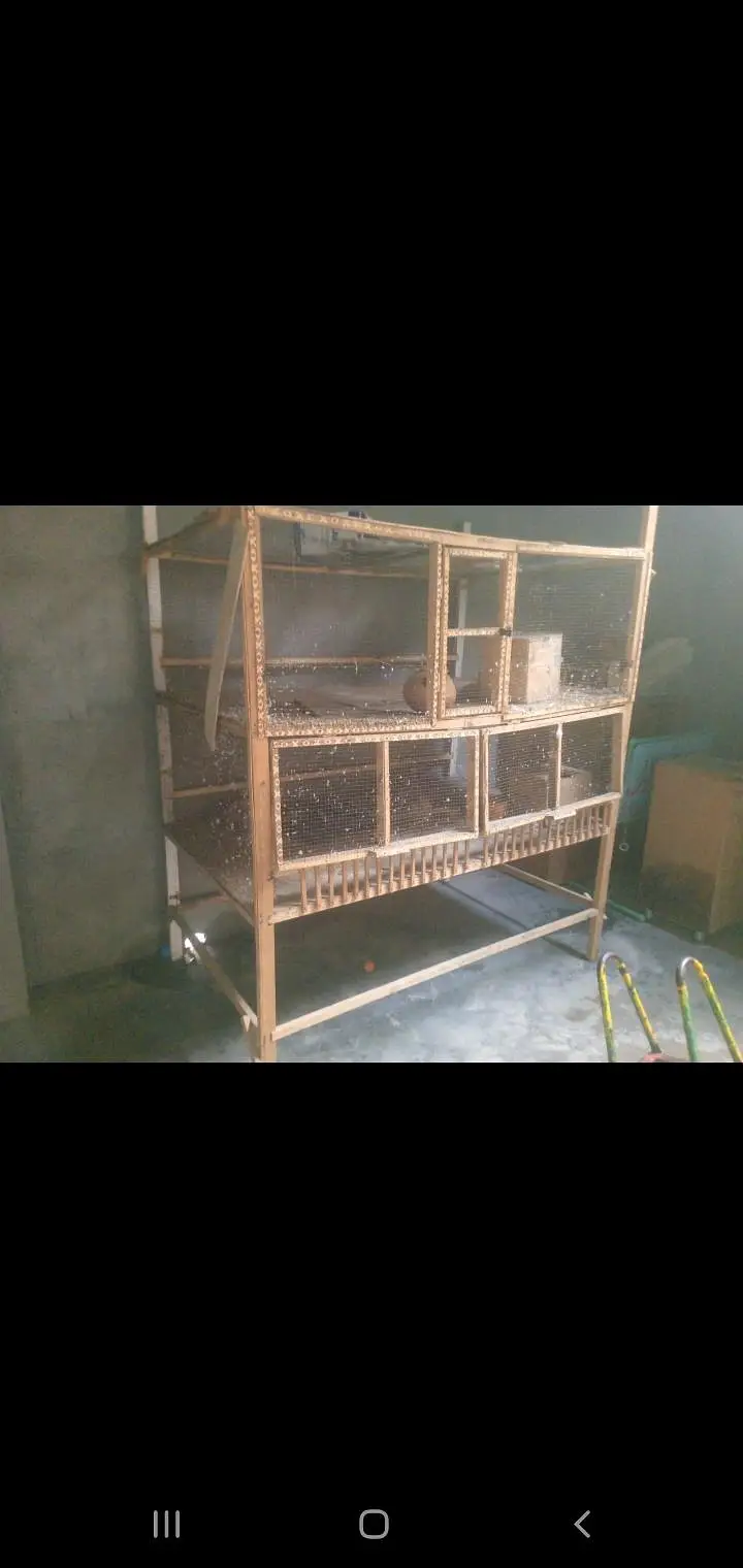 Cage for birds — photo 2