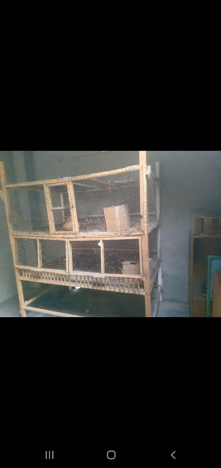 Cage for birds — photo 3