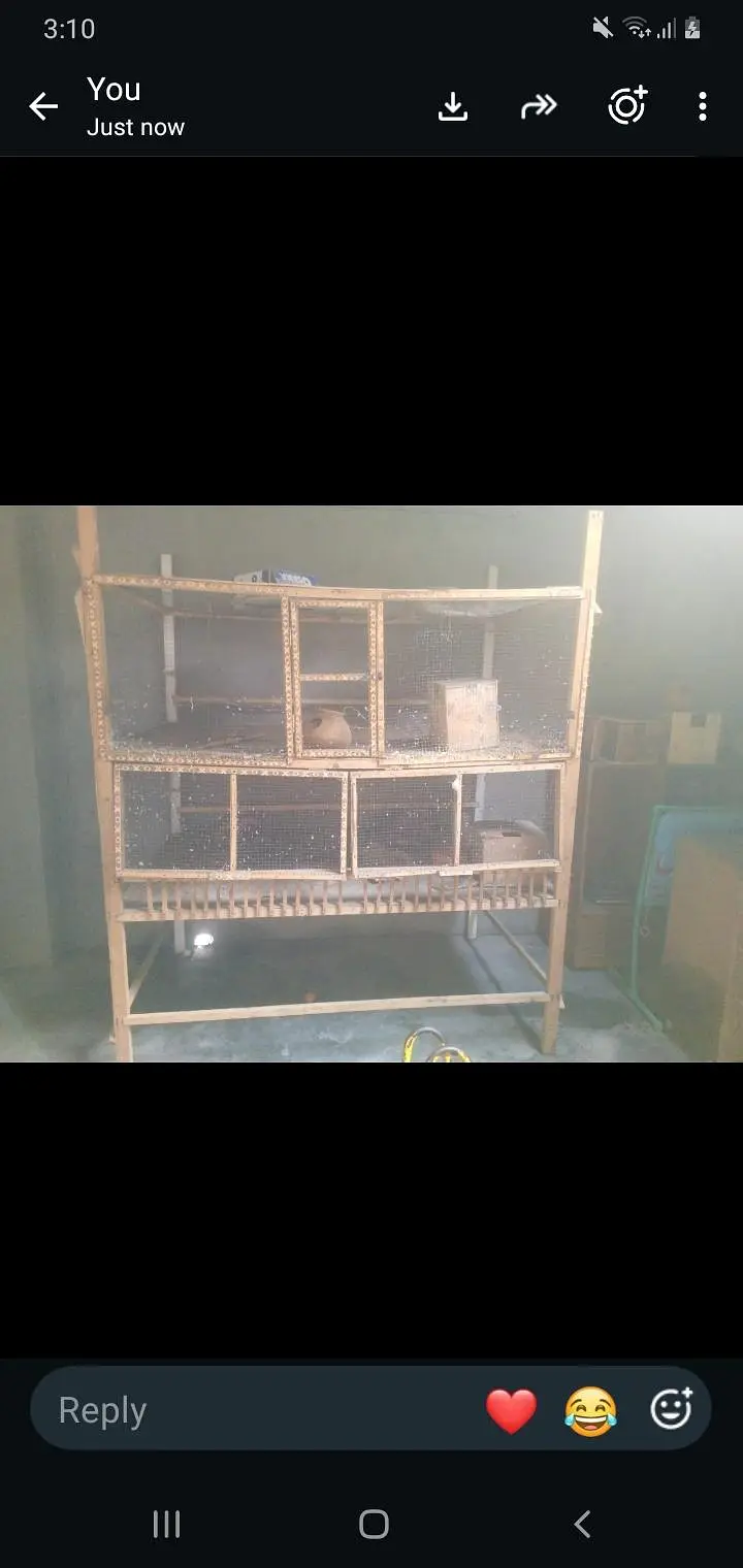 Cage for birds — photo 4