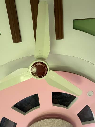 6 pices pak fans  new condition urgen sale