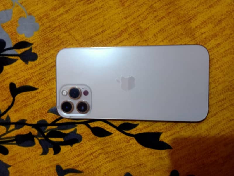Apple iPhone 12 pro max 1