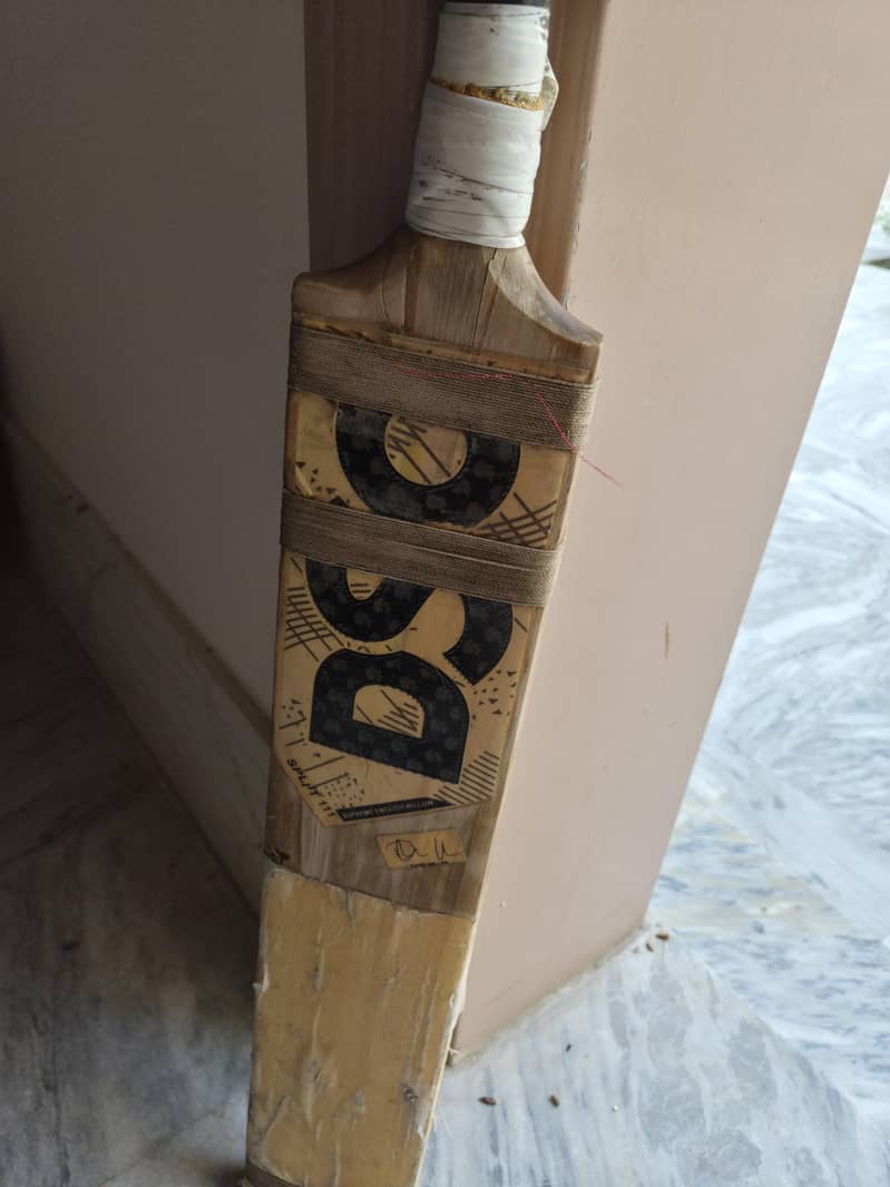DSC. CRICKET. COM 1