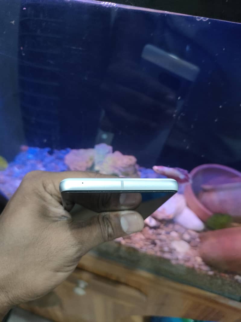 Google Pixel 7 1