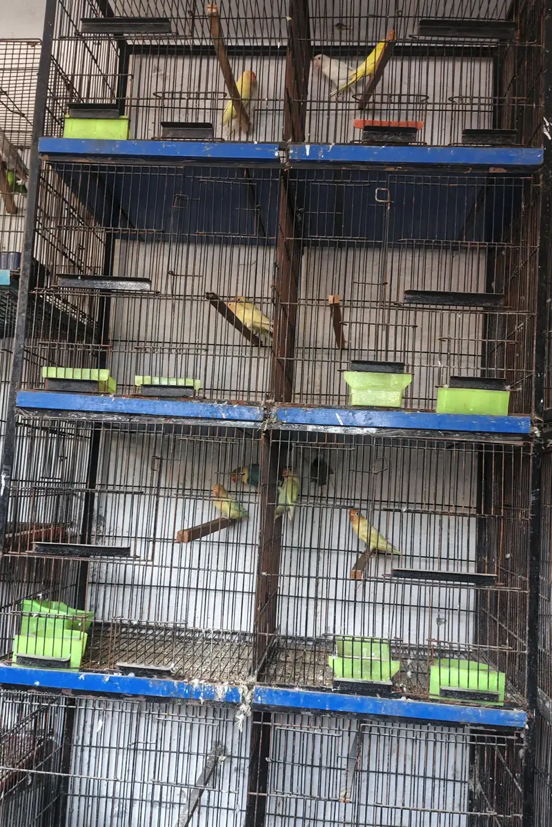Cages For Sale — photo 2