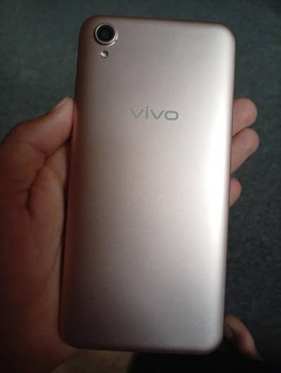Vivo y19