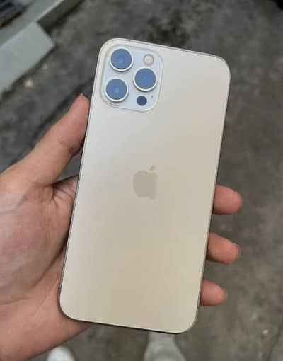 Apple iPhone 12 Pro Max jv