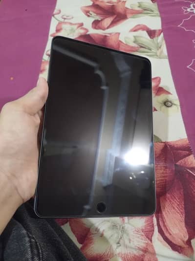 ipad mini5