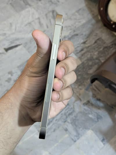 Apple iPhone 12 Pro