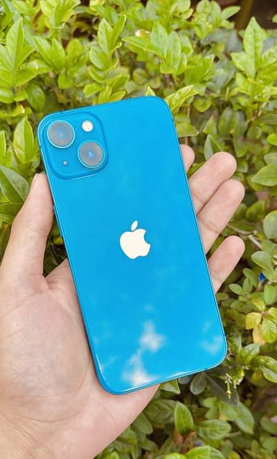 Apple iPhone 13
