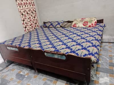 دو عدد پلنگ کنڈیشن 95 پرسنٹ