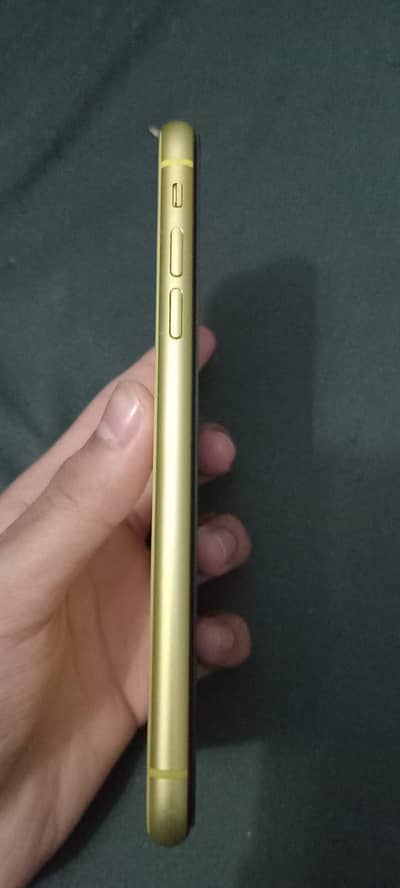 Apple iPhone 11 factory unlocked
