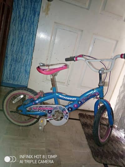 schwinn